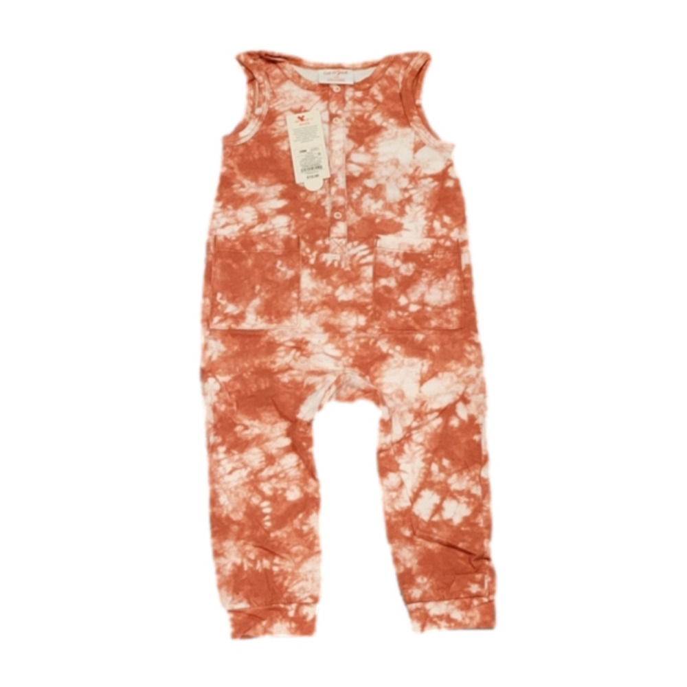𝅺12 month Copper romper